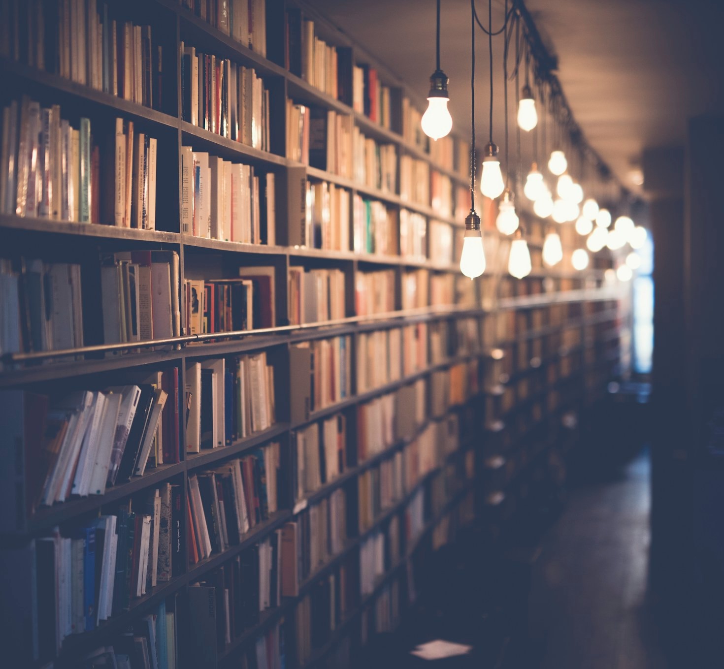 Advancing Knowledge Through Passion and Dedication